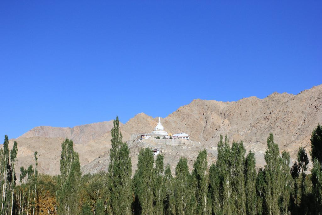 Hotel Nalanda Ladakh Leh Exterior foto