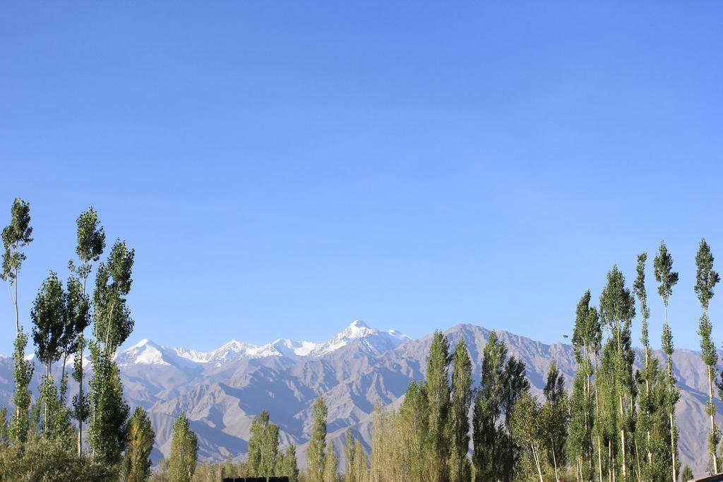 Hotel Nalanda Ladakh Leh Exterior foto